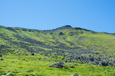 Similar image 15926213