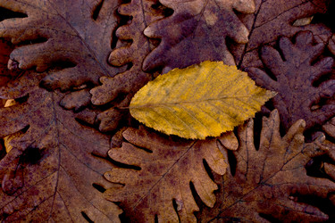 Similar image 15926253