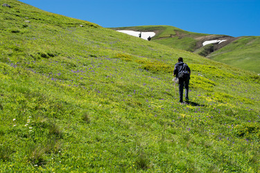 Similar image 15926350