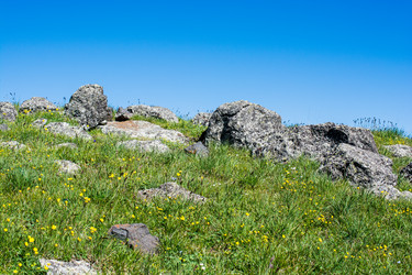 Similar image 15926351