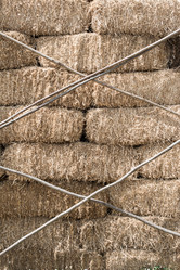 Similar image 15926375