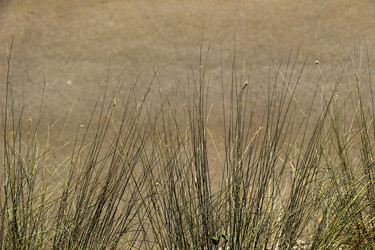 Similar image 15926400