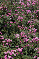 Similar image 15926401