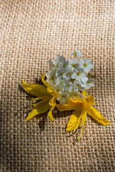 Similar image 15926797