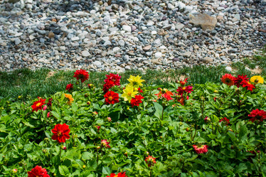 Similar image 16262865