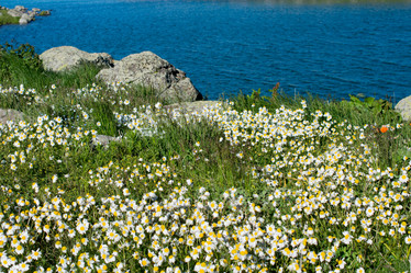 Similar image 15926220