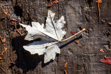 Similar image 15926256