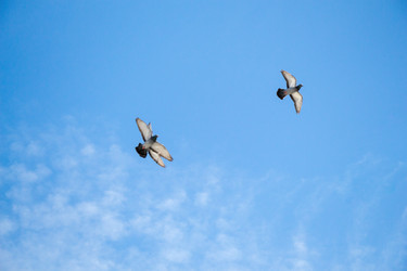 Similar image 15926259