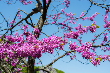 Similar image 15926262