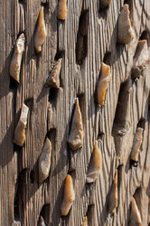 Similar image 15926365