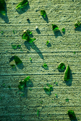 Similar image 15926405