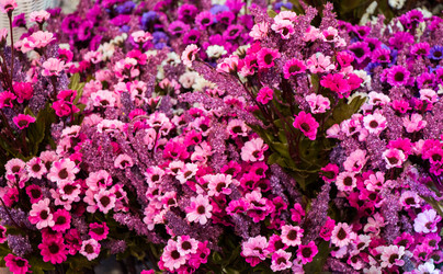 Similar image 15926407