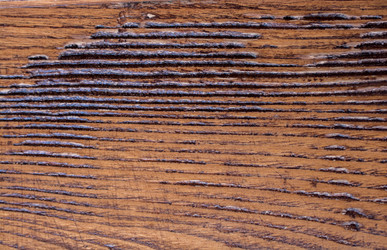 Similar image 15926408