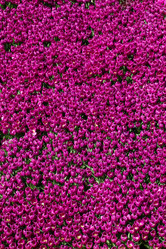 Similar image 15926411