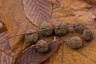 Similar image 15926799