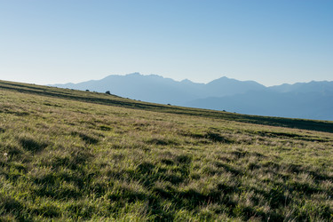 Similar image 16261725