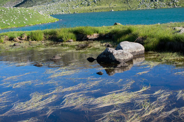 Similar image 16261744