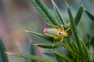 Similar image 16263157