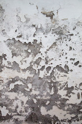 Similar image 16263545