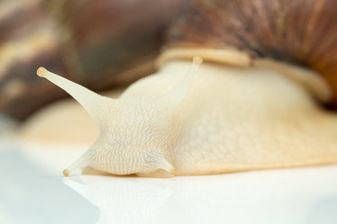 Similar image 15923866