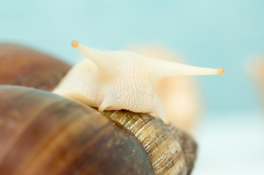 Similar image 15923867