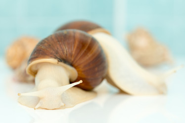 Similar image 15923889