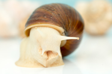 Similar image 15923763