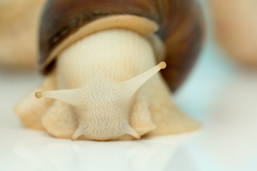 Similar image 15923773