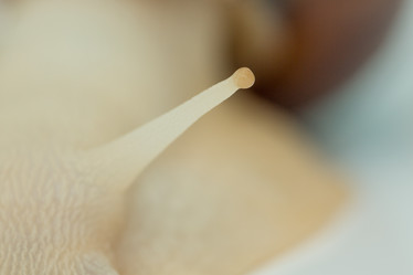 Similar image 15923783