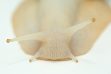 Similar image 15923785