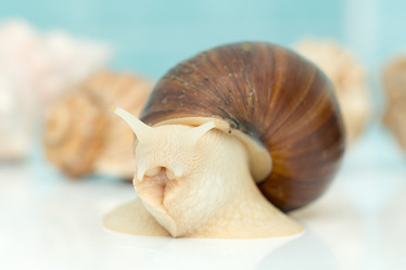 Similar image 15923815