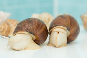 Similar image 15923818