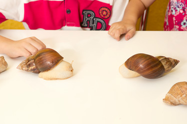 Similar image 15923820