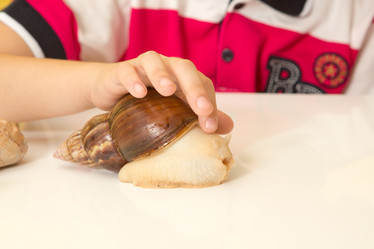 Similar image 15923822