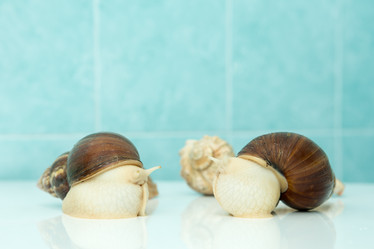 Similar image 15923851