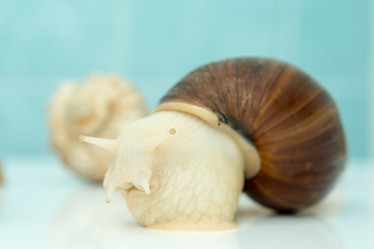 Similar image 15923865