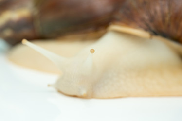 Similar image 15923893