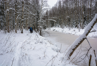 Similar image 16121515