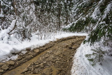 Similar image 16121436