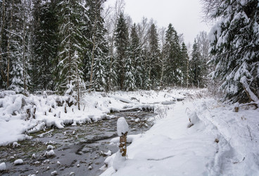 Similar image 16121497