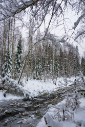 Similar image 16121576