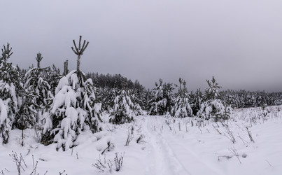 Similar image 16121637