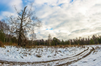 Similar image 16164116