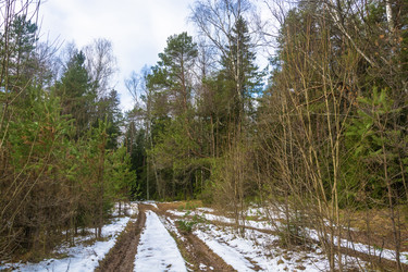 Similar image 16164419