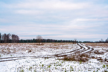 Similar image 16165615