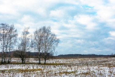 Similar image 16165675