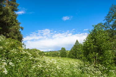 Similar image 16165331