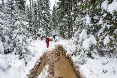 Similar image 16165492