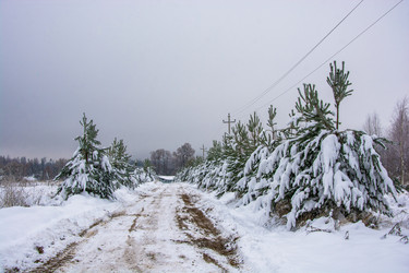 Similar image 16165758