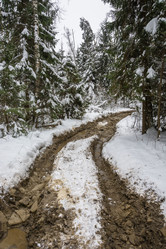 Similar image 16165656